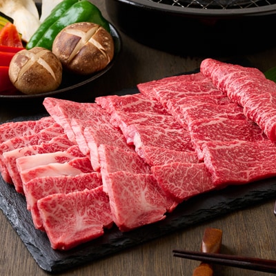 【但馬牛】焼肉 赤身&霜降り 特選セット500g
