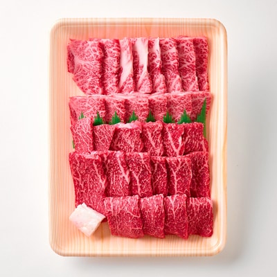 【但馬牛】焼肉 赤身&霜降り 特選セット500g