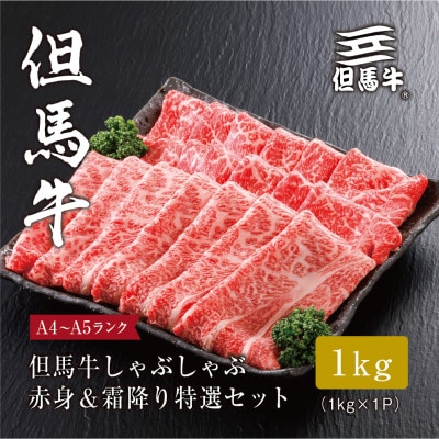 【但馬牛】 しゃぶしゃぶ 赤身&霜降り 特選セット1kg