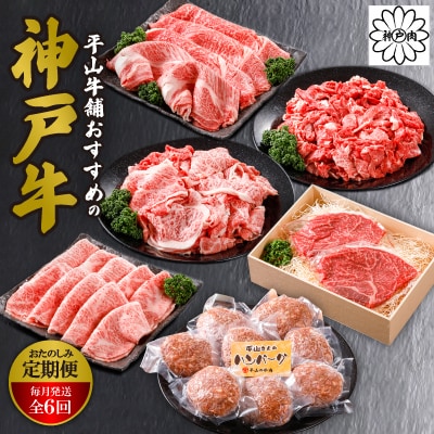 【毎月定期便】平山牛舗おすすめの「神戸牛」おたのしみ全6回