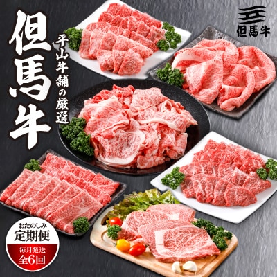 【毎月定期便】平山牛舗の厳選「但馬牛」おたのしみ全6回