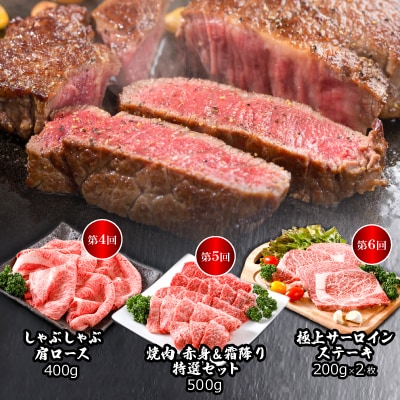 【毎月定期便】平山牛舗の厳選「但馬牛」おたのしみ全6回