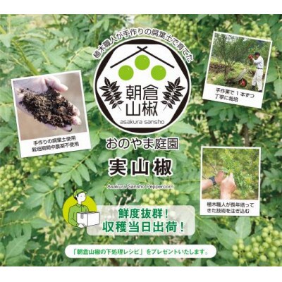 朝倉山椒の実山椒(500g)