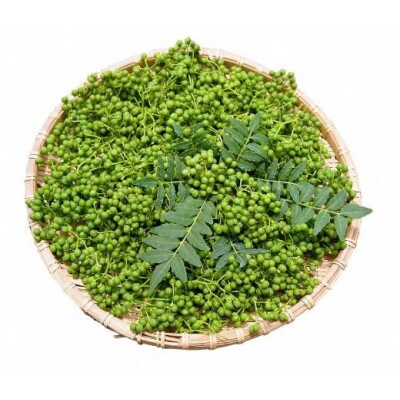 朝倉山椒の実山椒(500g)