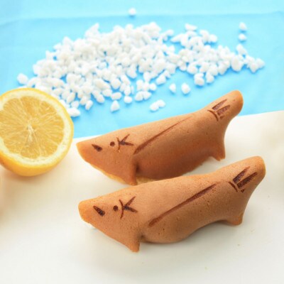 涼菓撰A　夏におすすめの爽やかスイーツギフト