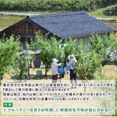 朝倉山椒　兵庫県養父市産　冷凍　500g