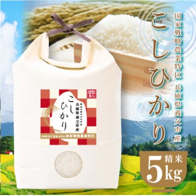 農業特区兵庫県養父市産こしひかり5kg