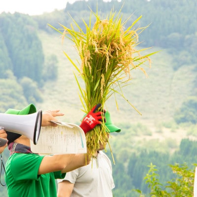 別宮棚田米(精米)5kg