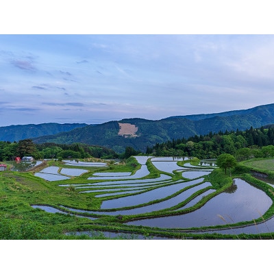 別宮棚田米(精米)5kg