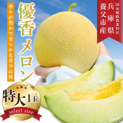 数量限定!こだわり農家さんの希少な優香メロン【特大×1】