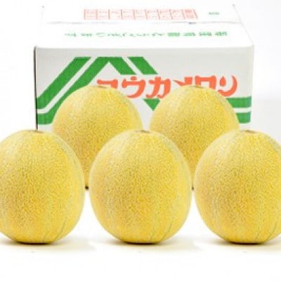 数量限定!こだわり農家さんの希少な優香メロン【特大×1】