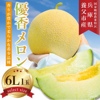 数量限定!こだわり農家さんの希少な優香メロン【6L×1】