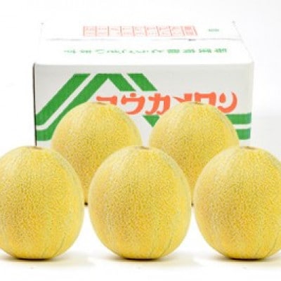 数量限定!こだわり農家さんの希少な優香メロン【6L×1】