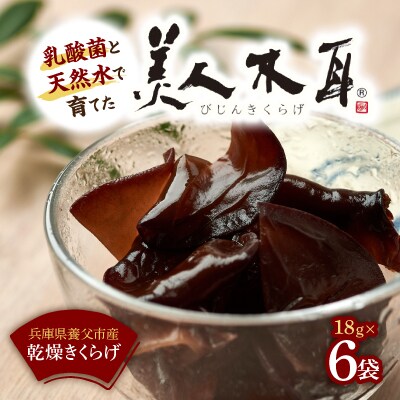 乳酸菌で育てた美人木耳(乾燥)