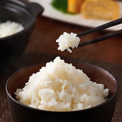 【2025年3月上旬発送】令和6年産養父市の希少米　蛇紋岩米　10kg　五穀米セット