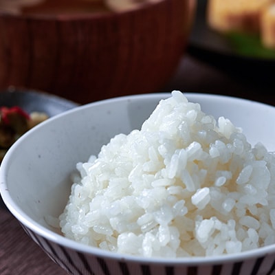 養父市産こしひかり米 10kg(精米)