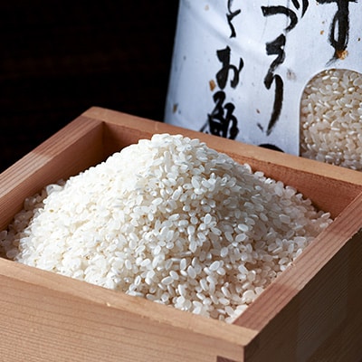 養父市産こしひかり米 10kg(精米)