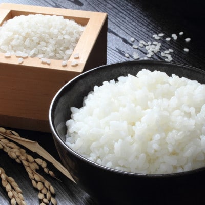 2025年10月以降発送【蛇紋岩ブランド　別格米10kg】