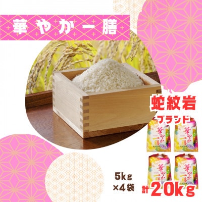 2025年9月以降発送【蛇紋岩ブランド　華やか一膳20kg】
