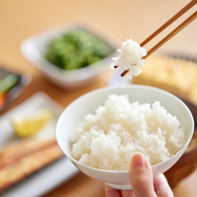 【発送月固定定期便】10月より順次発送!蛇紋岩ブランド 華やか一膳 20kg(5kg×4)全3回