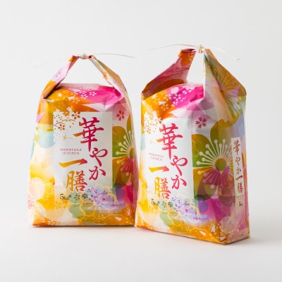 【発送月固定定期便】10月より順次発送!蛇紋岩ブランド 華やか一膳 20kg(5kg×4)全3回