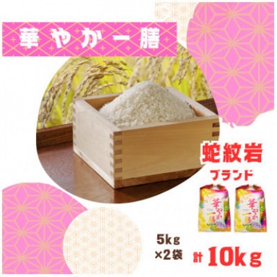 【毎月定期便】蛇紋岩ブランド 華やか一膳 10kg(5kg×2)全3回