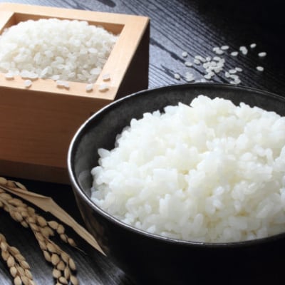 【毎月定期便】蛇紋岩ブランド 別格米 10kg(5kg×2)全3回