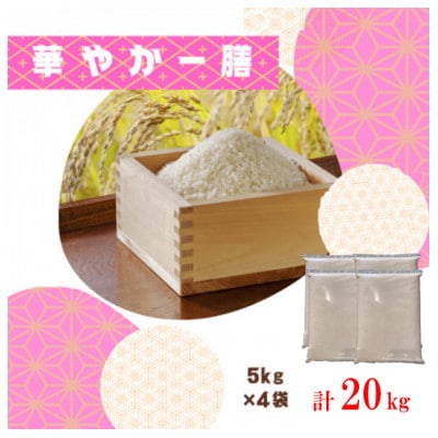 【毎月定期便】訳あり【無地袋梱包】蛇紋岩ブランド 華やか一膳 20kg(5kg×4)全12回