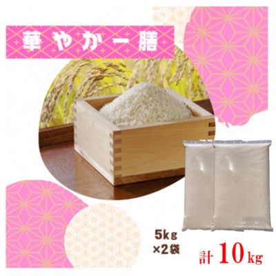 【毎月定期便】訳あり【無地袋梱包】蛇紋岩ブランド 華やか一膳 10kg(5kg×2)全3回