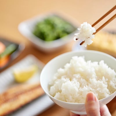 【毎月定期便】訳あり【無地袋梱包】蛇紋岩ブランド 華やか一膳 10kg(5kg×2)全12回