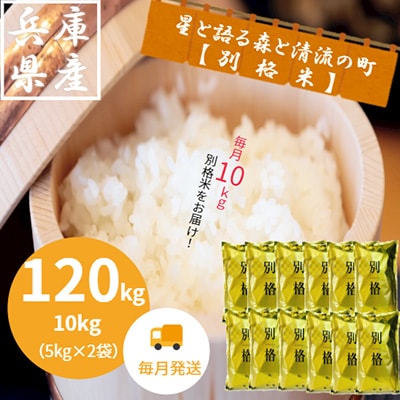 2023年8月発送開始『定期便』【蛇紋岩ブランド　別格米120kg】全12回