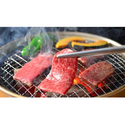 神戸ビーフ　焼き肉200g×2、焼肉用(不揃い)200g×2　計800g　YBYS2S