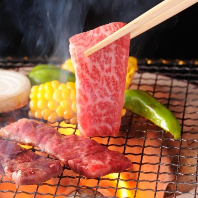 訳あり 但馬 太田牛 焼肉用(切り落とし) 600g OY1