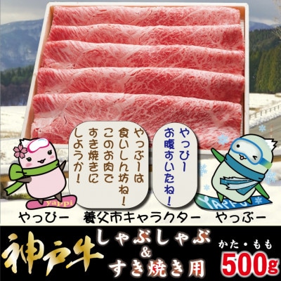 神戸牛 しゃぶしゃぶ & すき焼き用 かた ・ もも肉 計500g YBS2