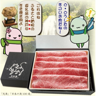 神戸牛 しゃぶしゃぶ & すき焼き用 かた ・ もも肉 計500g YBS2