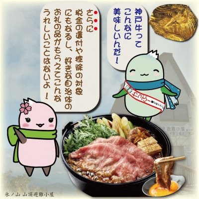 神戸牛 しゃぶしゃぶ & すき焼き用 かた ・ もも肉 計500g YBS2