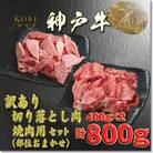 訳あり 神戸牛 切落し肉・焼肉用 400gずつ 計800g YBSY2