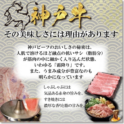 神戸牛 しゃぶしゃぶ・すき焼き用セット 計1Kg YBSS5 【2026年4月より順次発送】