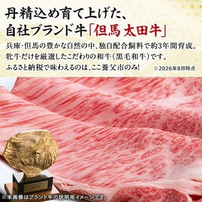 但馬 太田牛　訳あり 切り落とし肉 500g OS1