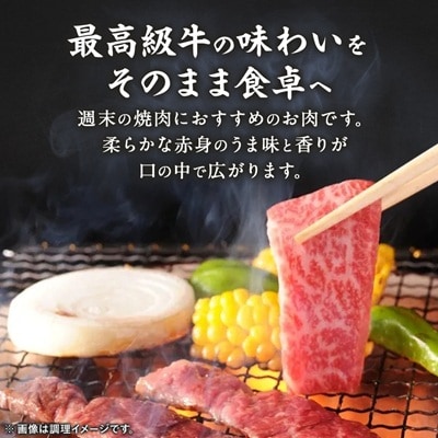但馬 太田牛 訳あり おまかせ焼肉 500g OY1