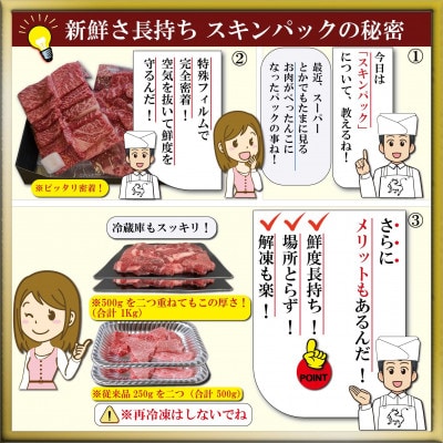 但馬 太田牛 訳あり 部位おまかせ焼肉 計1kg OY1-2