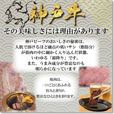 神戸ビーフ サーロイン&赤身のステーキ焼き肉セット 計800g YBSTY8
