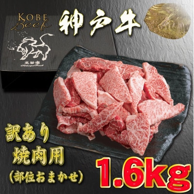 訳あり 神戸牛 焼肉用(部位おまかせ) 1.6kg YBY1-4