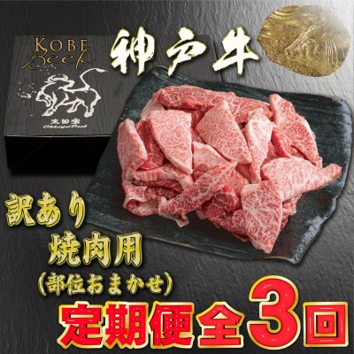 【毎月定期便】訳あり 神戸牛 焼肉用(部位おまかせ) YBY1全3回