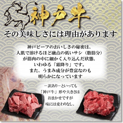 【毎月定期便】訳あり 神戸牛 焼肉用(部位おまかせ) YBY1全3回