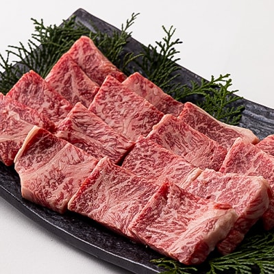 但馬牛焼肉セット 500g