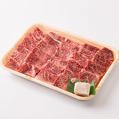 但馬牛焼肉セット 500g