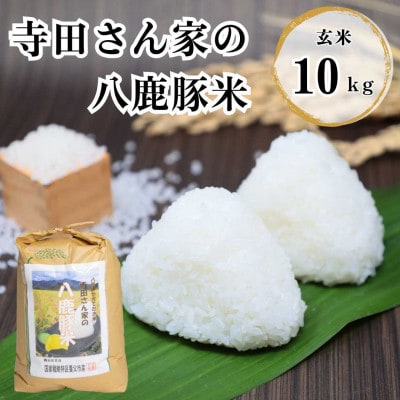 【令和7年産】 寺田さん家の八鹿豚米 コシヒカリ 玄米 10kg