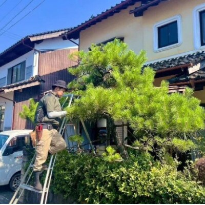 【遠方のご家族に代わって】養父市のお庭等お手入れサービス(草刈り・剪定・清掃) 2万円分