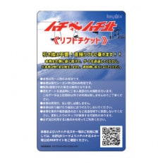 ハチ高原スキー場リフト1日券(大人)1枚+同伴者用割引券2枚